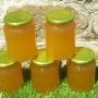 RIMG0893
