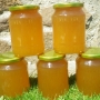 RIMG0894
