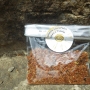 Propolis